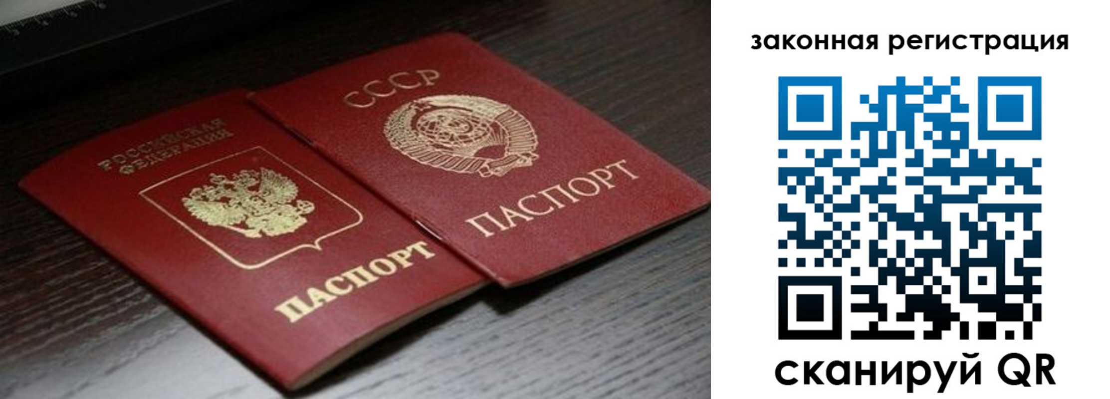 прописка поиск в Коркино